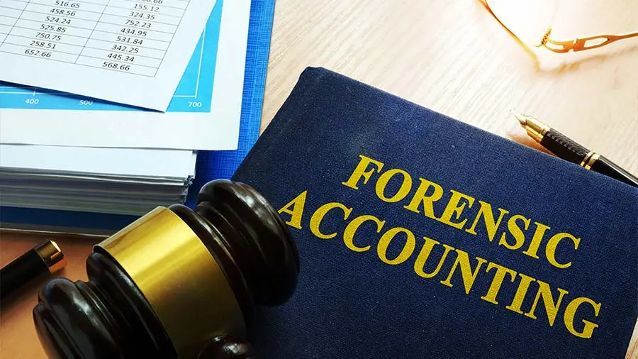 CUSIP Forensic Accounting_img