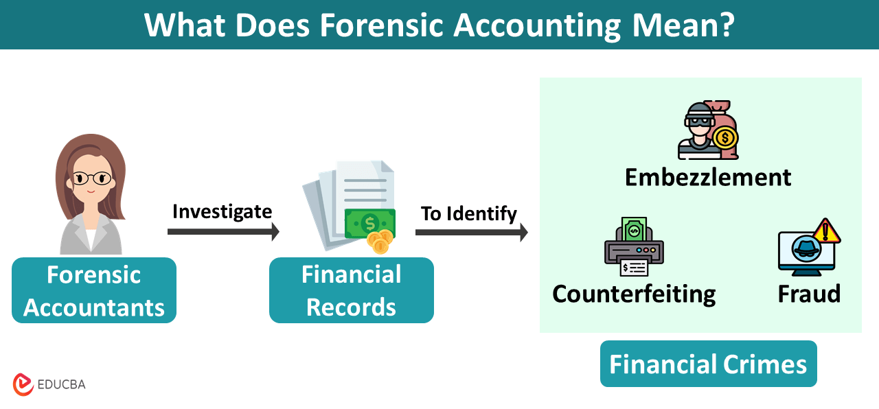 Can CUSIP Forensic Accounting_img