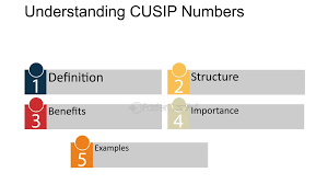 The Ultimate Guide to CUSIP Bond_img